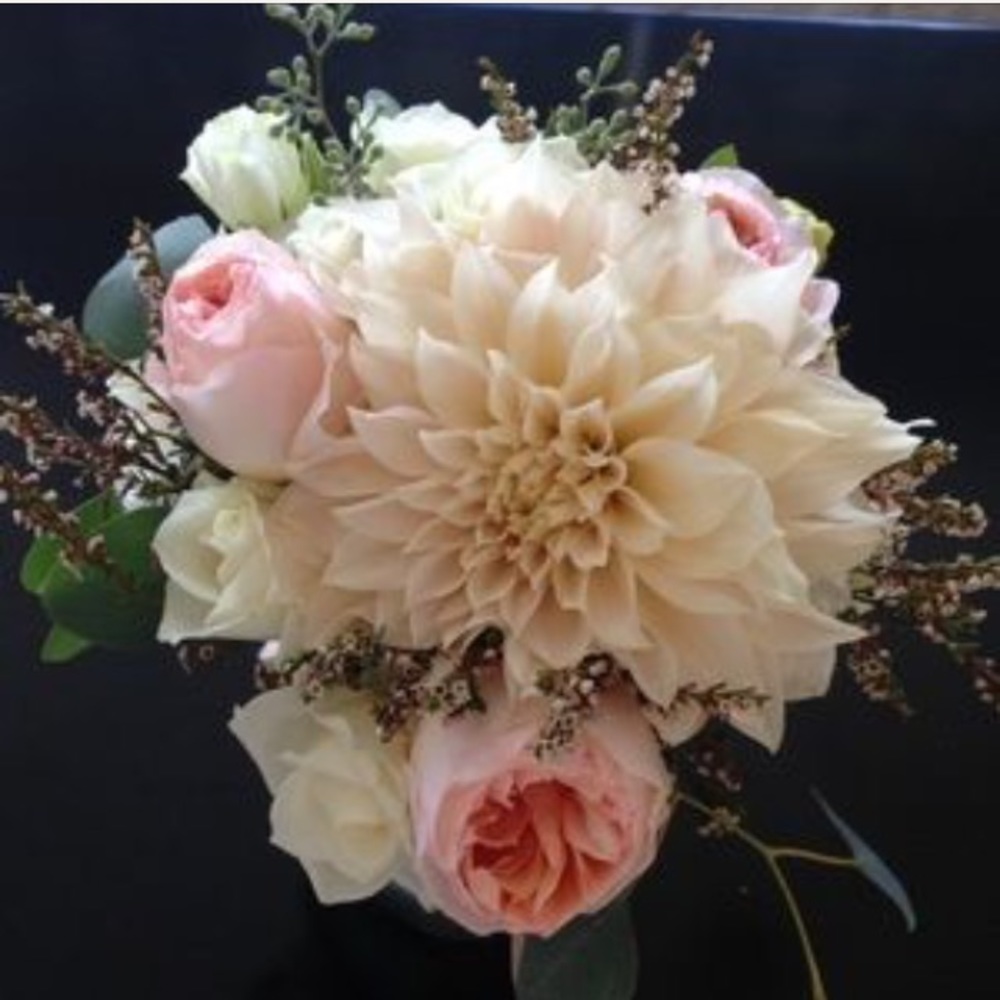 Meet your Posher, Alexandra